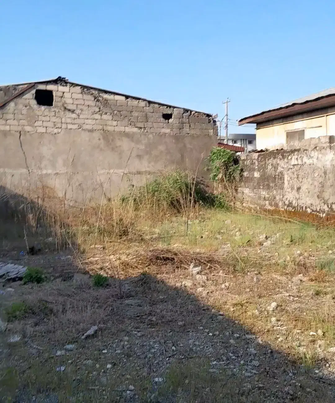 زمین مسکونی با سند تک برگ و انشعاب برق ،آب|فروش زمین و ملک کلنگی|سلمانشهر, |دیوار