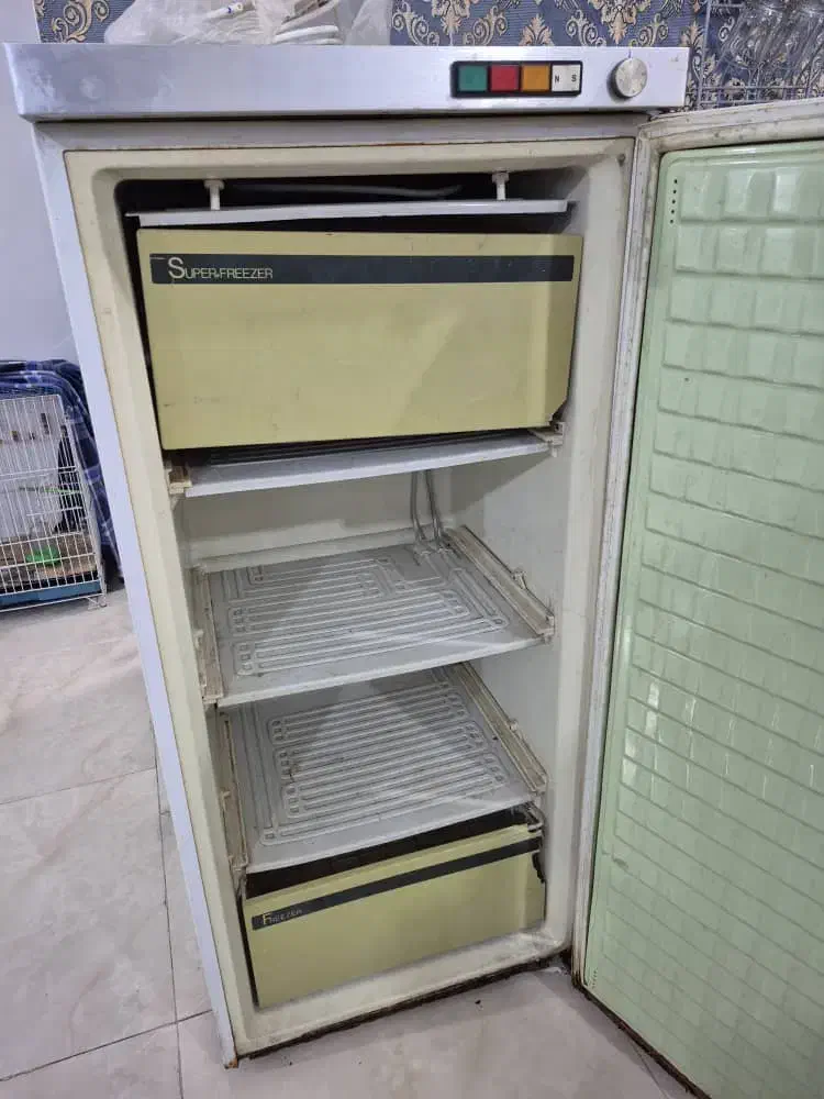 فریزر|یخچال و فریزر|خرمشهر, |دیوار