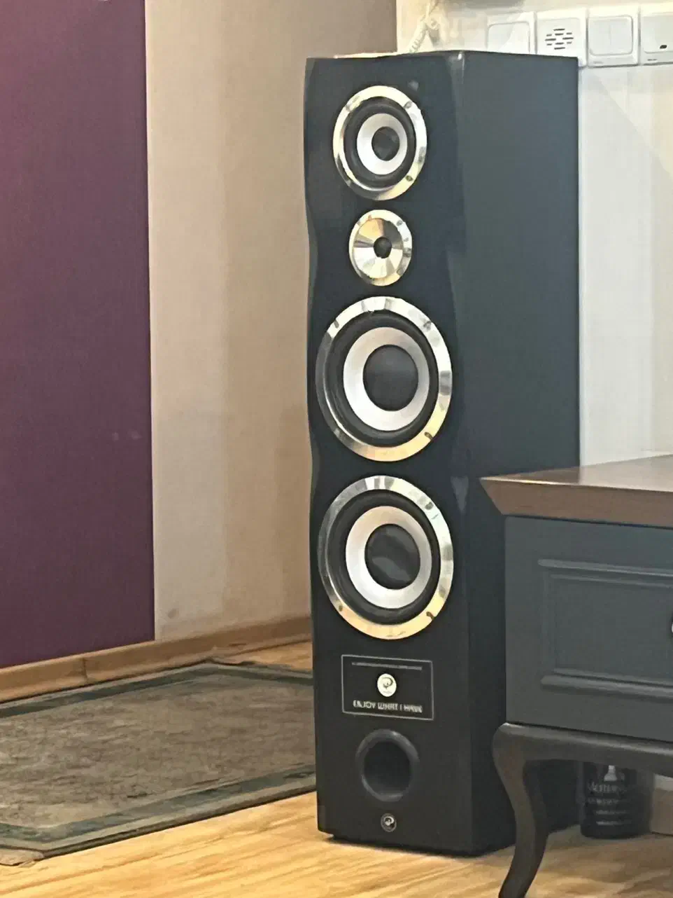 اسپیکر ایستاده Proxima XP-528K نیاز به تعمیر|سیستم صوتی خانگی|کرج, فاز ۱ مهرشهر|دیوار