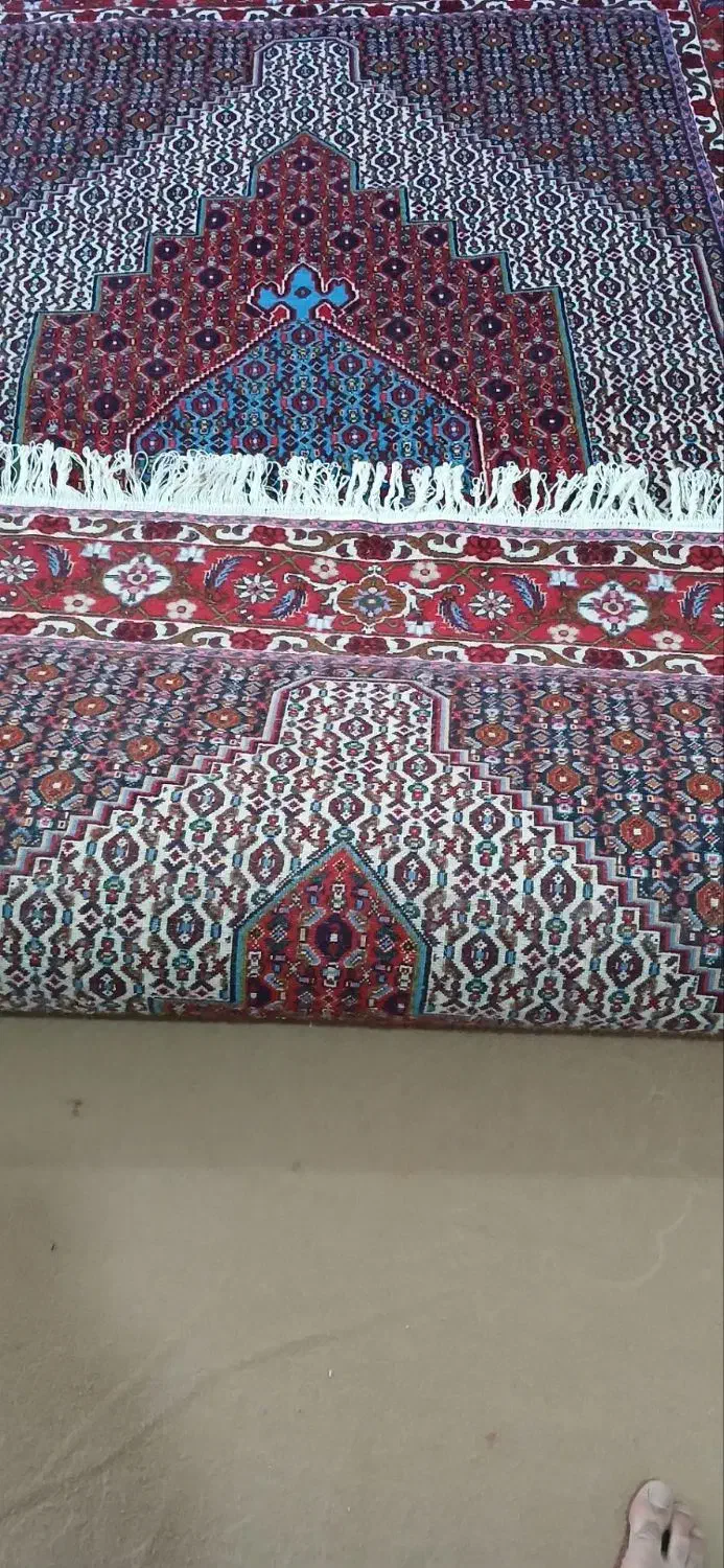 فرش دستباف 2/3|فرش|سنندج, |دیوار