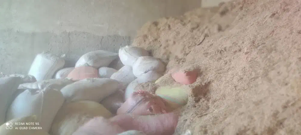 کاه گندم به مقدار پنج تن گونی شده آماده|عمدهفروشی|کازرون, |دیوار