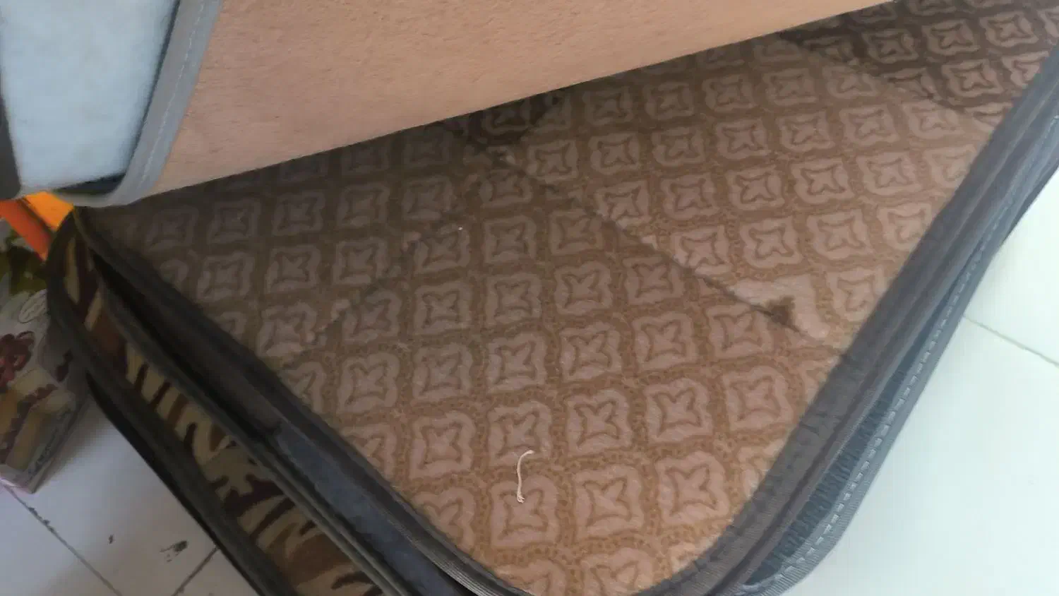 دنیای پا دری همین جاست|پادری|گلبهار, شهر جدید گلبهار|دیوار