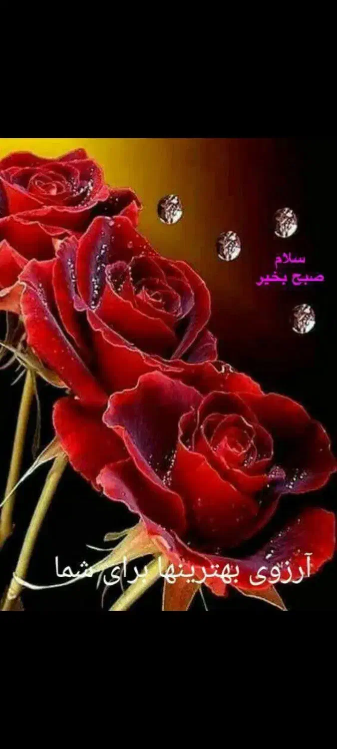 1250|گل و گیاه طبیعی|تربتحیدریه, رضاشهر|دیوار