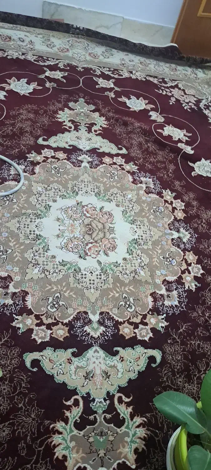 لوازم خانگی|فرش|قیدار, |دیوار