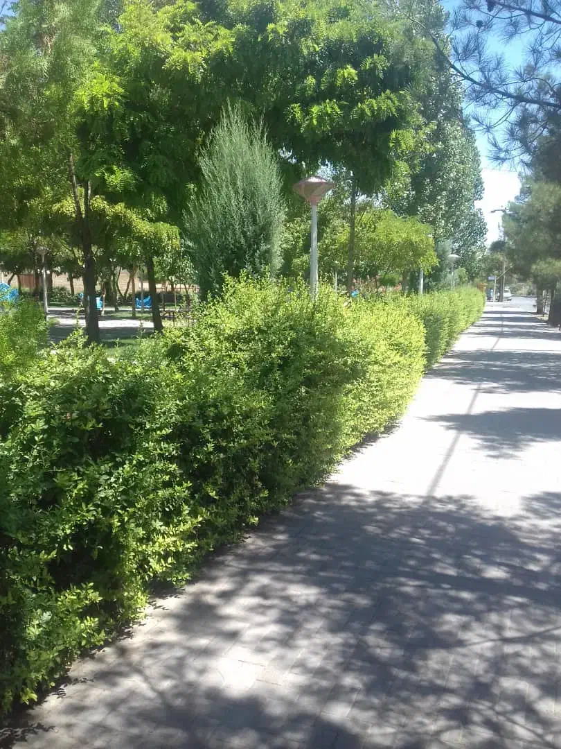 110 متر سند ششدانگ استاد یوسفی 20 طبقه دوم|فروش آپارتمان|مشهد, استاد یوسفی (شهرک غرب)|دیوار