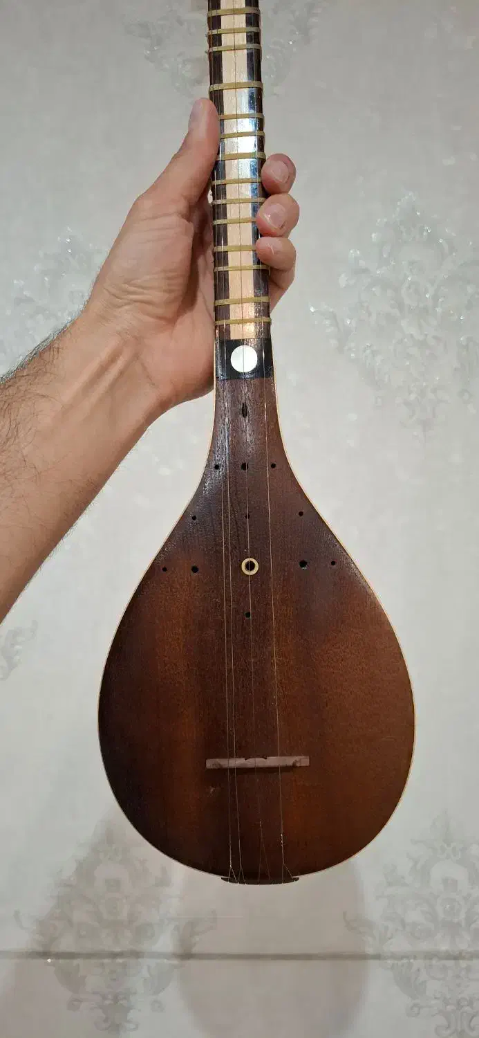 سه تار حرفه ای بوریایی|سازهای سنتی|رباطکریم, رباطکریم|دیوار