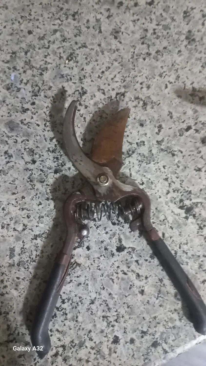 قیچی|لوازم خیاطی و بافتنی|وحیدیه, |دیوار