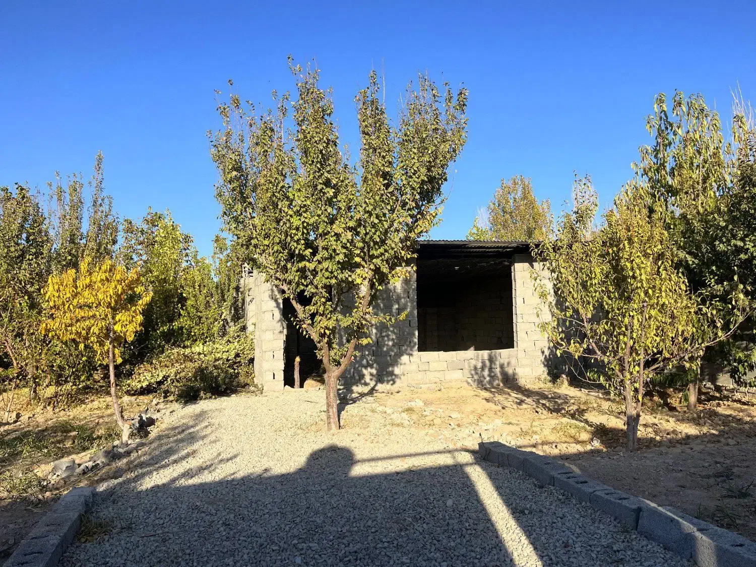 باغ با بنا (انواع درختان میوه بارده )|فروش زمین و ملک کلنگی|اسلامشهر, شهرک احمدیه|دیوار