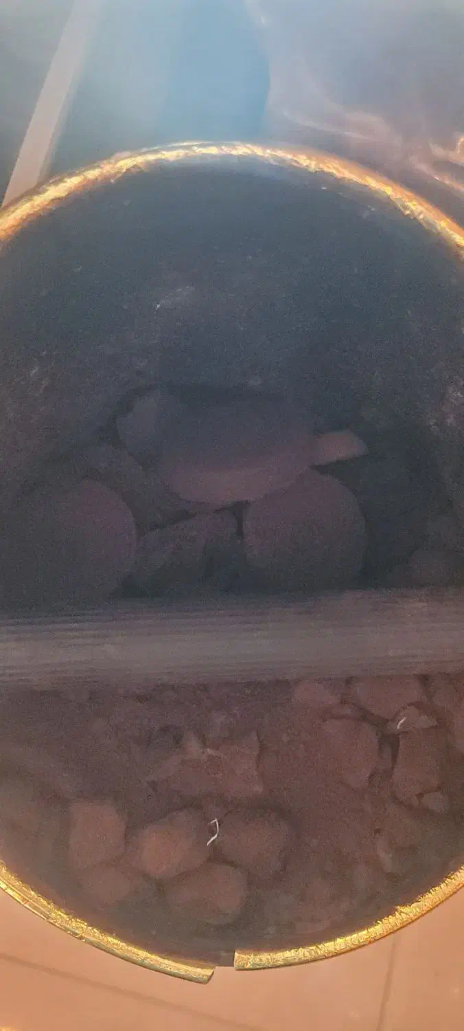 تفاله قهوه|گل و گیاه طبیعی|نیشابور, شهرک فرهنگیان|دیوار