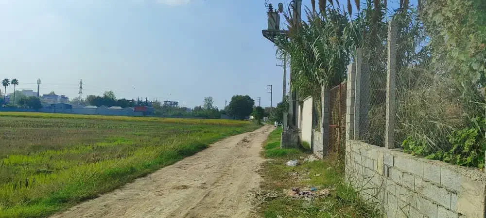 زمین کشاورزی|فروش زمین و ملک کلنگی|امیرکلا, |دیوار