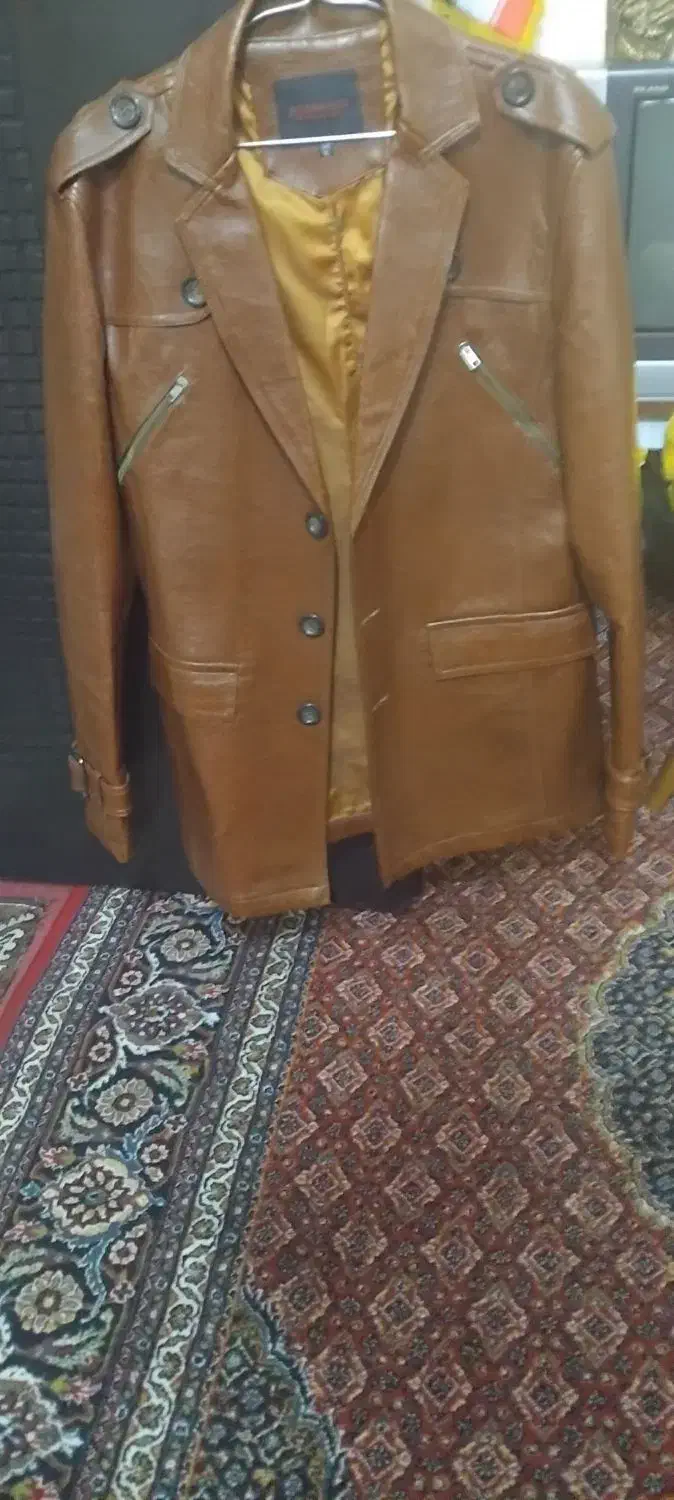 کاپشن چرم|لباس|مشگین شهر, |دیوار