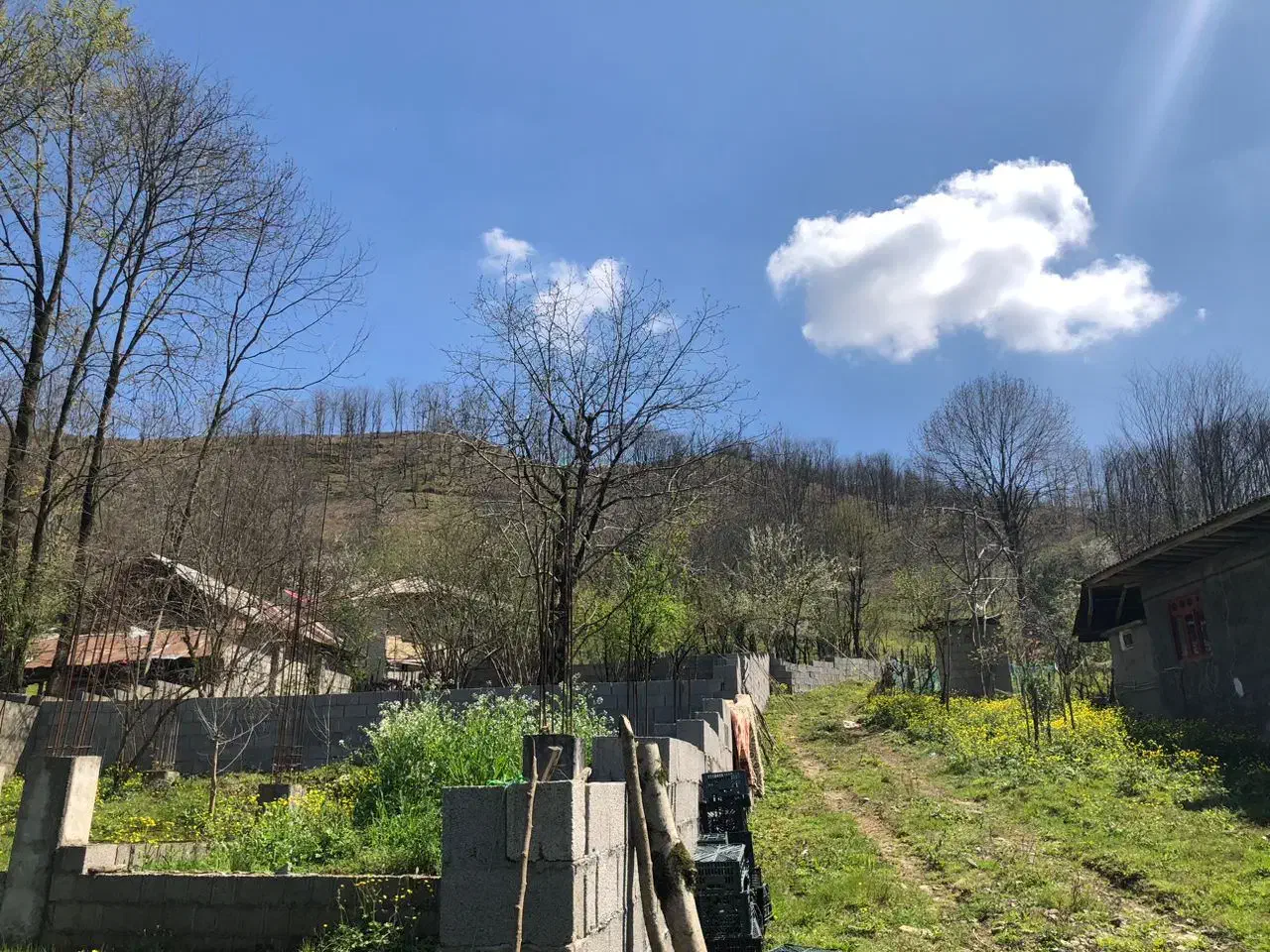 زمین ووملک های عالی و بی نظیر گورابزرمیخ مبین بالو|فروش زمین و ملک کلنگی|طاهرگوراب, |دیوار