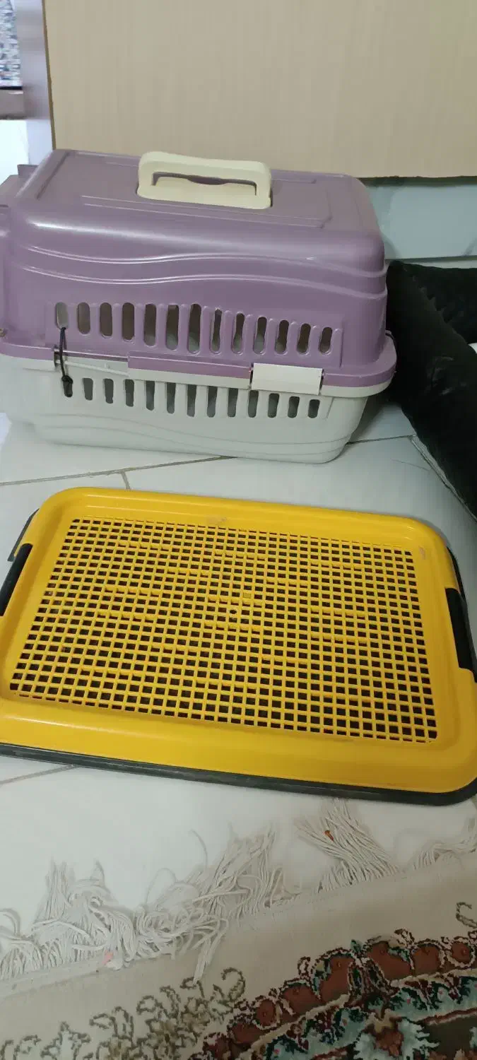 وسایل پت|لوازم جانبی حیوانات|رباط‌کریم, رباط‌کریم|دیوار