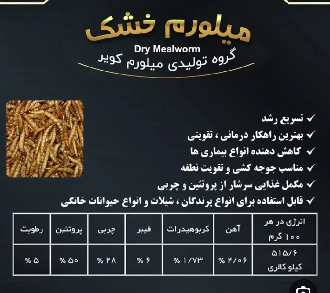 کرم میلورم و مگس سرباز و تخمه حیوانات|لوازم جانبی حیوانات|مشهد, اقبال|دیوار