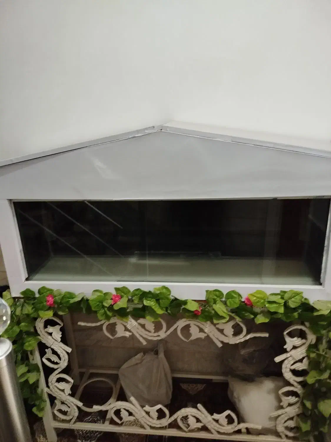 آکواریوم|ماهی|قم, کیوانفر|دیوار