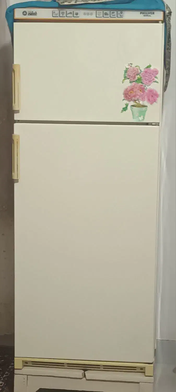 یخچال فیلور کاملآ سالم وتمیز|یخچال و فریزر|گنبد کاووس, |دیوار