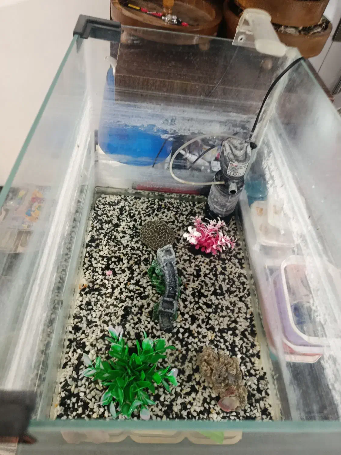 آکواریوم|ماهیگیری|بیرجند, |دیوار