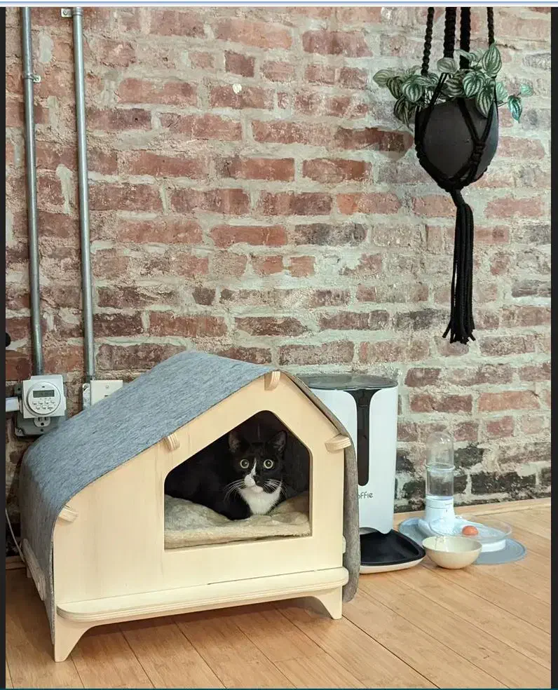 خانه پت گربه|لوازم جانبی حیوانات|مشهد, مشکینی (شهرک غرب)|دیوار