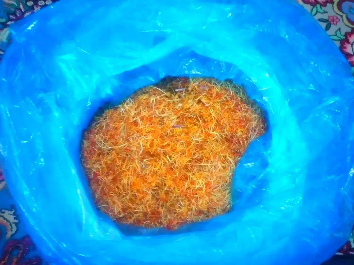 ریشه زعفران|خوردنی و آشامیدنی|قم, انسجام|دیوار