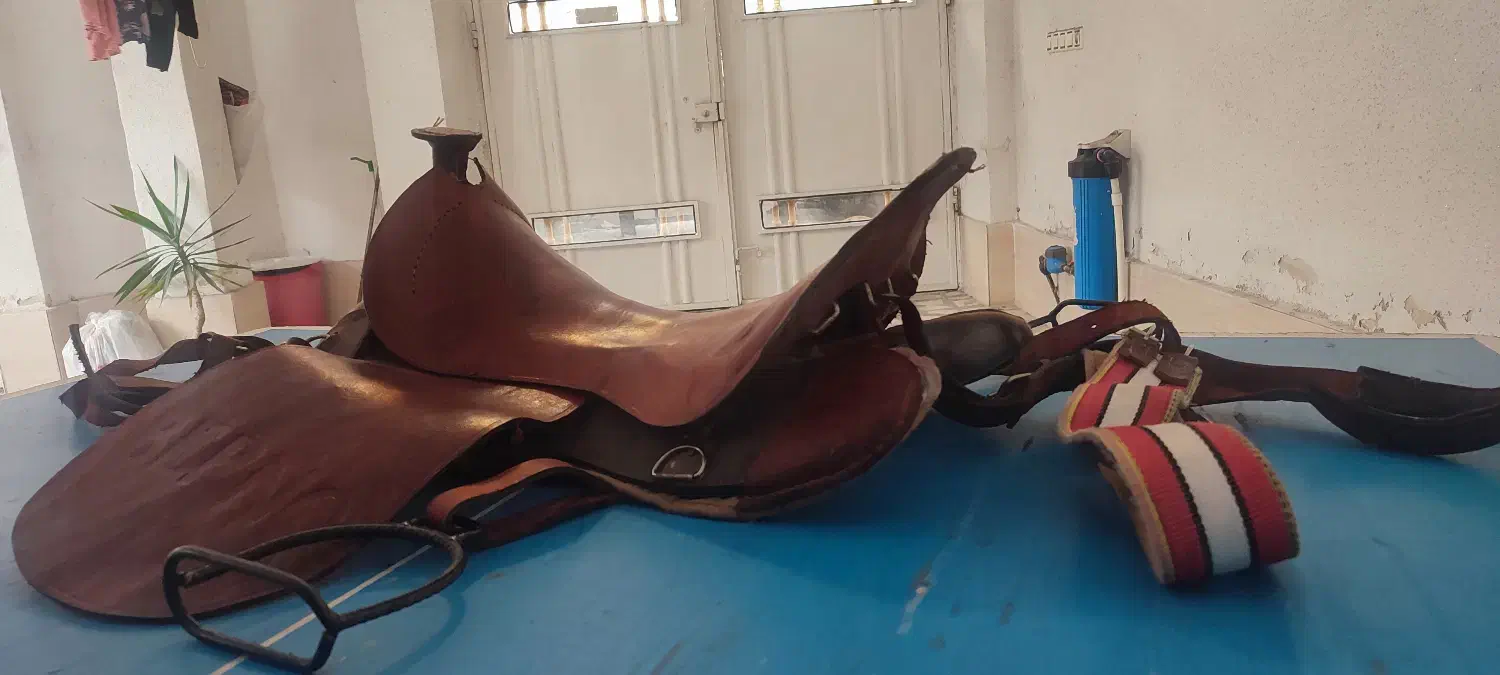 زین چرم اسب به همراه لوازم|اسب و تجهیزات اسب‌سواری|رودسر, |دیوار