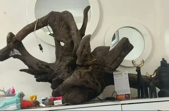 تعدادی وسایل منزل|حراج|ری, شهرری|دیوار