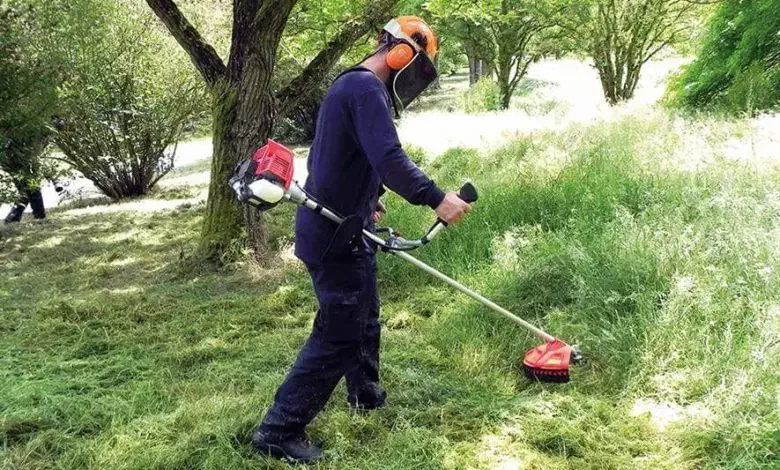 علف زنی و هرس کردن با تیم حرفه ای و قیمت مناسب|خدمات باغبانی و درختکاری|آستانه اشرفیه, |دیوار