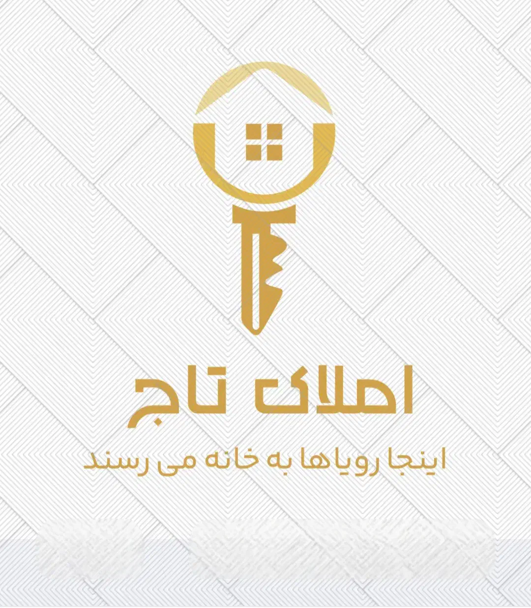 ۵۵متر/ بی بدیل /خوش نقشه|اجارهٔ آپارتمان|تهران, علی‌آباد|دیوار