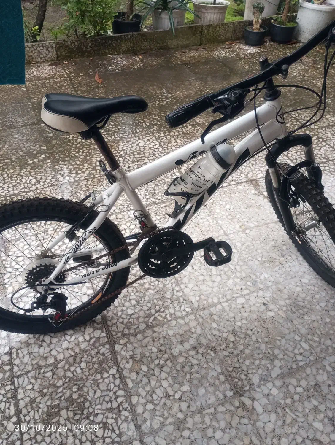 دوچرخه سایز 20|دوچرخه، اسکیت، اسکوتر|رشت, گیل|دیوار