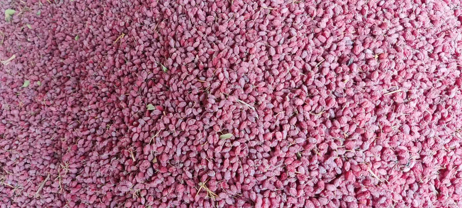 زرشک پفکی|عمدهفروشی|سربیشه, |دیوار