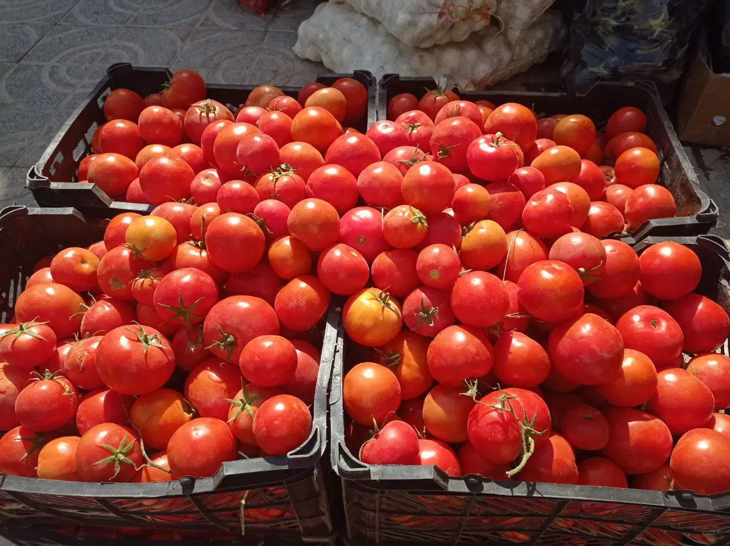 ارزانسرای میوه و تره بار بختیاری|خوردنی و آشامیدنی|فولادشهر, B7|دیوار