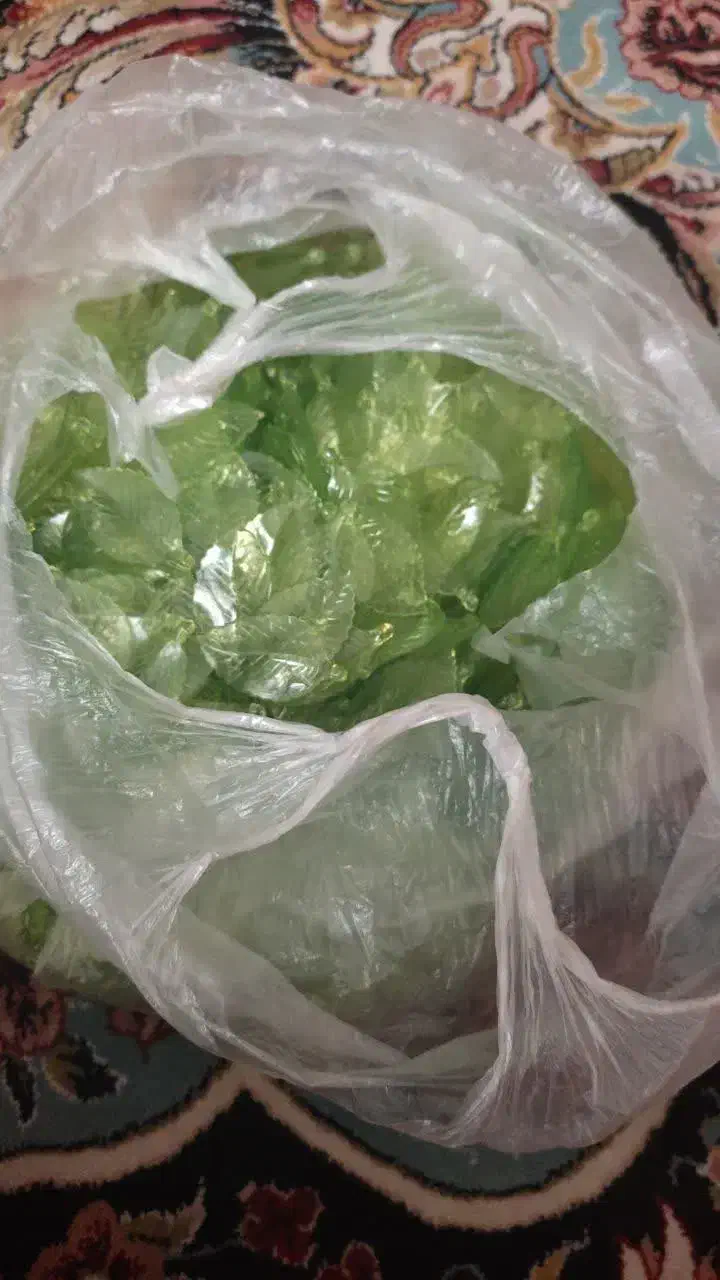 وسایل گلسازی|ابزارآلات|مشهد, شهرآرا|دیوار