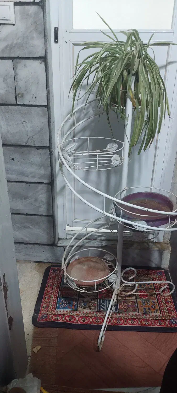 استند فلزی|گل و گیاه طبیعی|کرج, حصارک پایین|دیوار