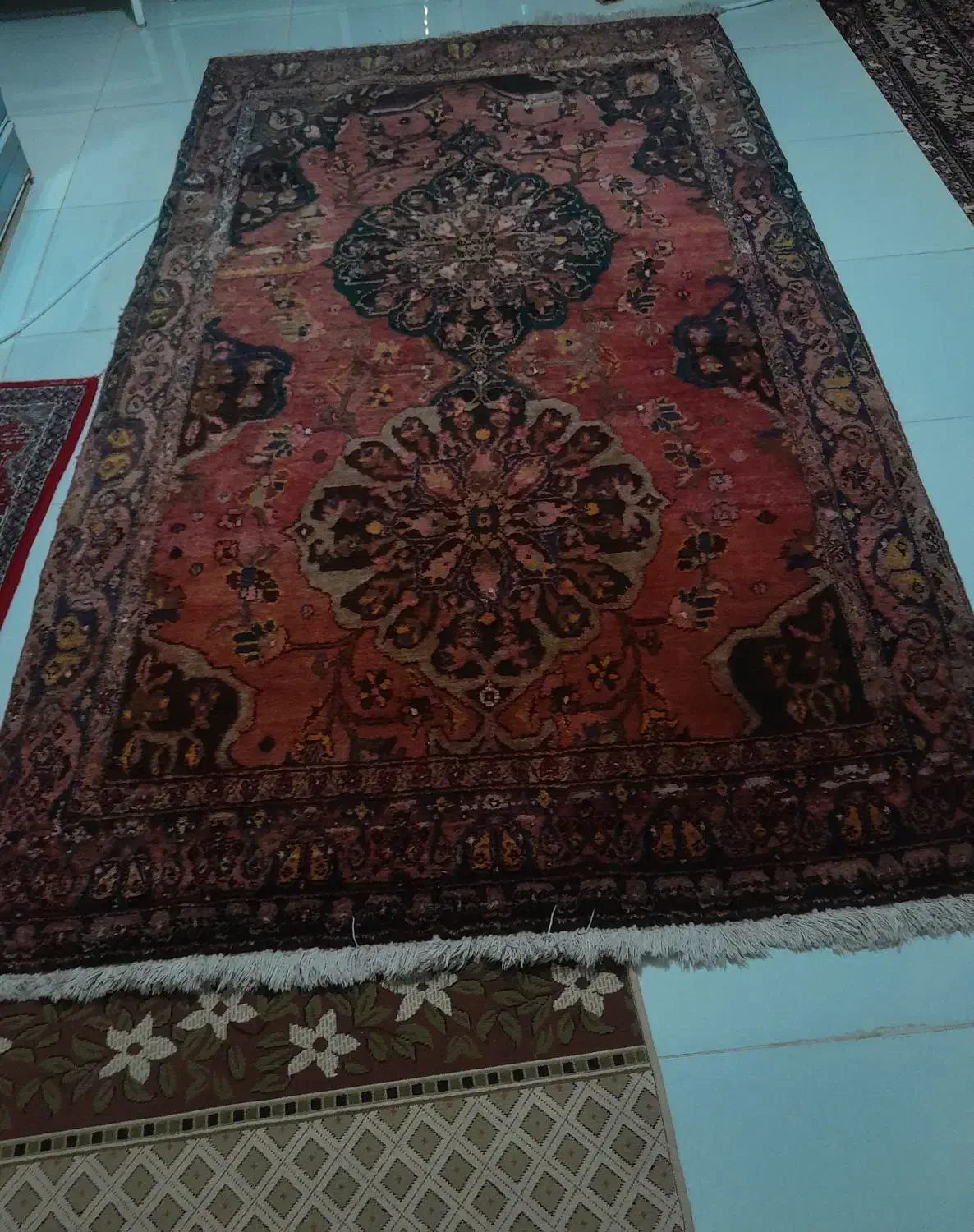 فرش آنتیک حدود 100سال|فرش|بوکان, |دیوار