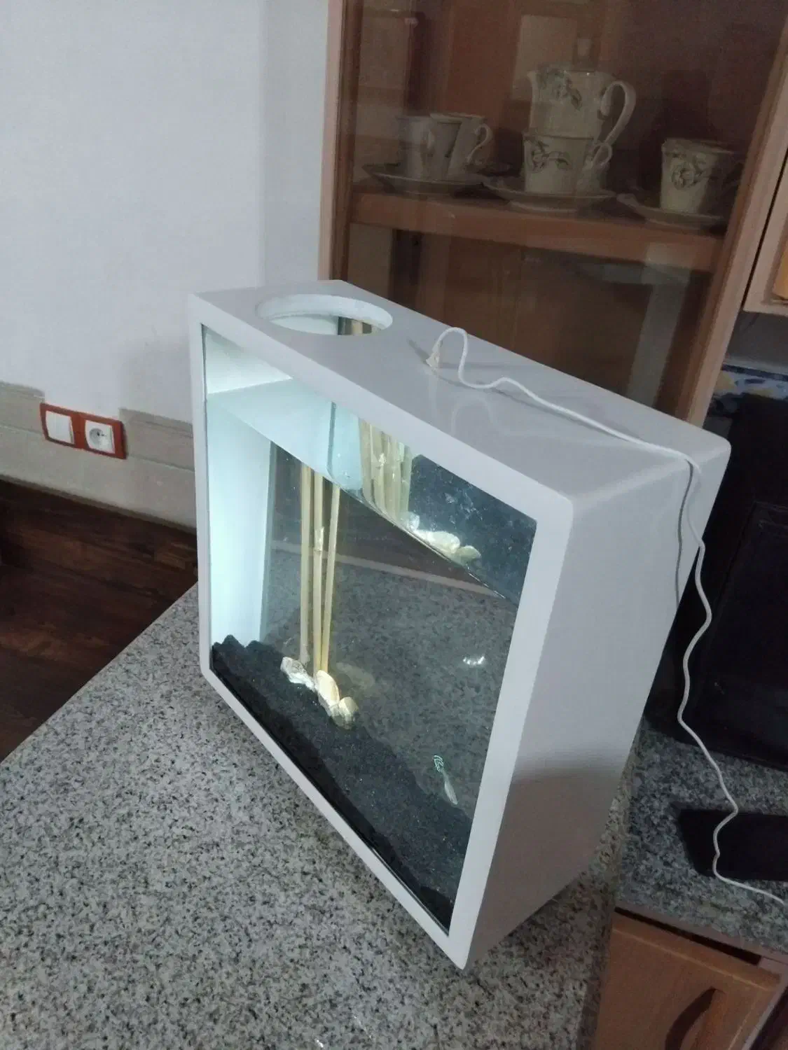 اکواریوم مدرن|ماهی|کرمان, |دیوار