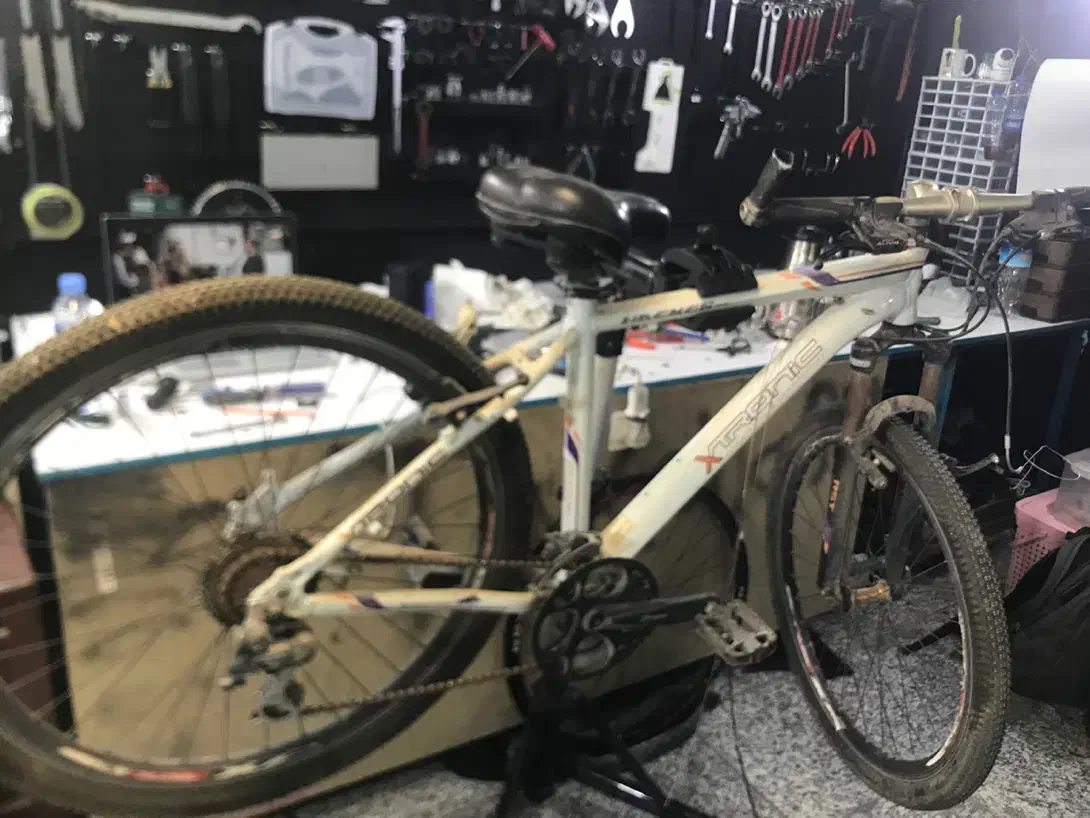 تعمیرات دوچرخه|خدمات پیشه و مهارت|کرمان, |دیوار