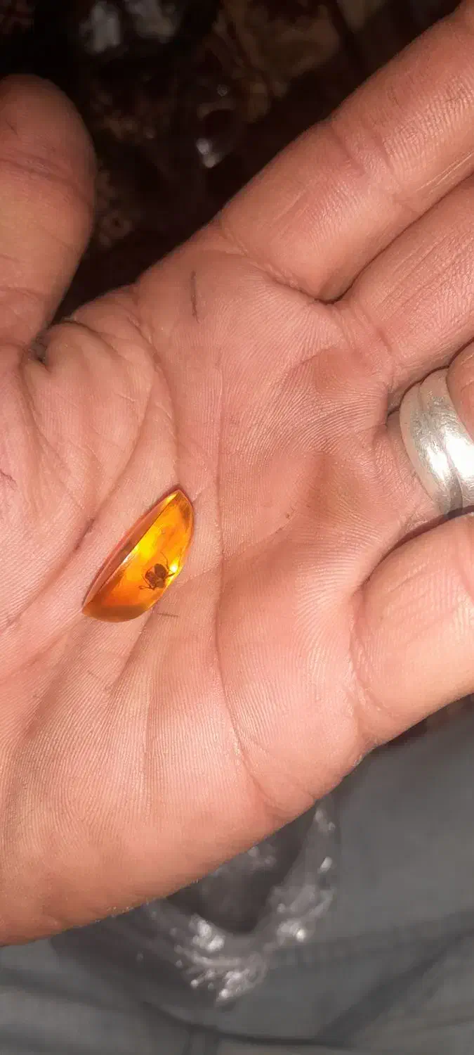 نگین انگشتر کهربا|جواهرات|اردبیل, |دیوار