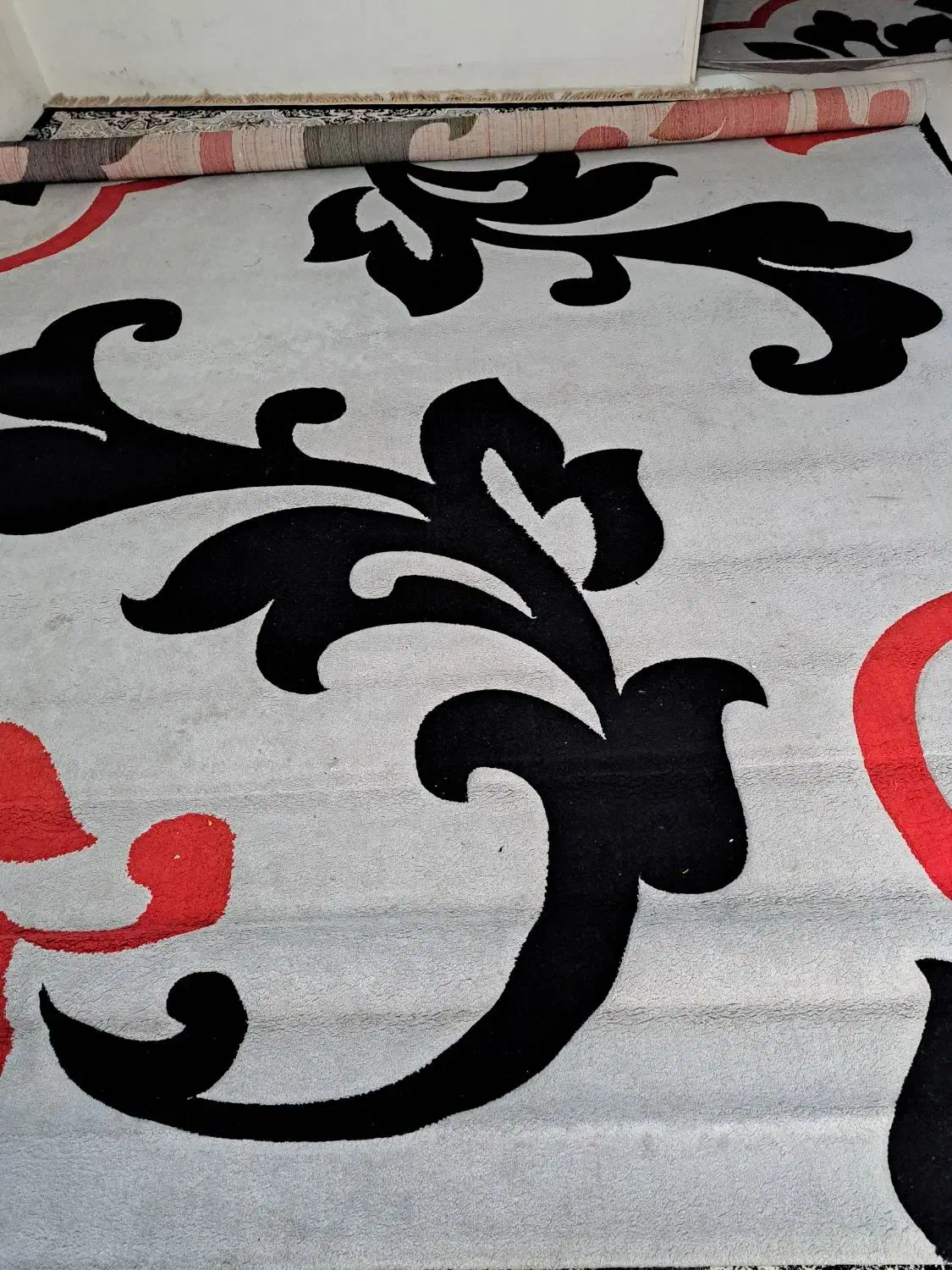 فرش|فرش|بندرعباس, |دیوار