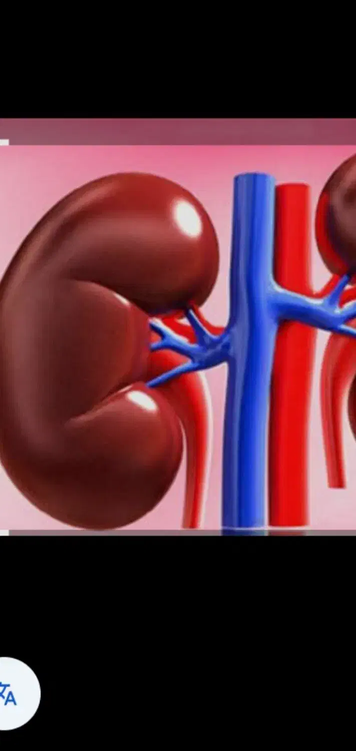 راهنمایی درموردپیوندکلیه|فعالیت داوطلبانه تحقیقاتی|صالح آباد (ایلام), |دیوار