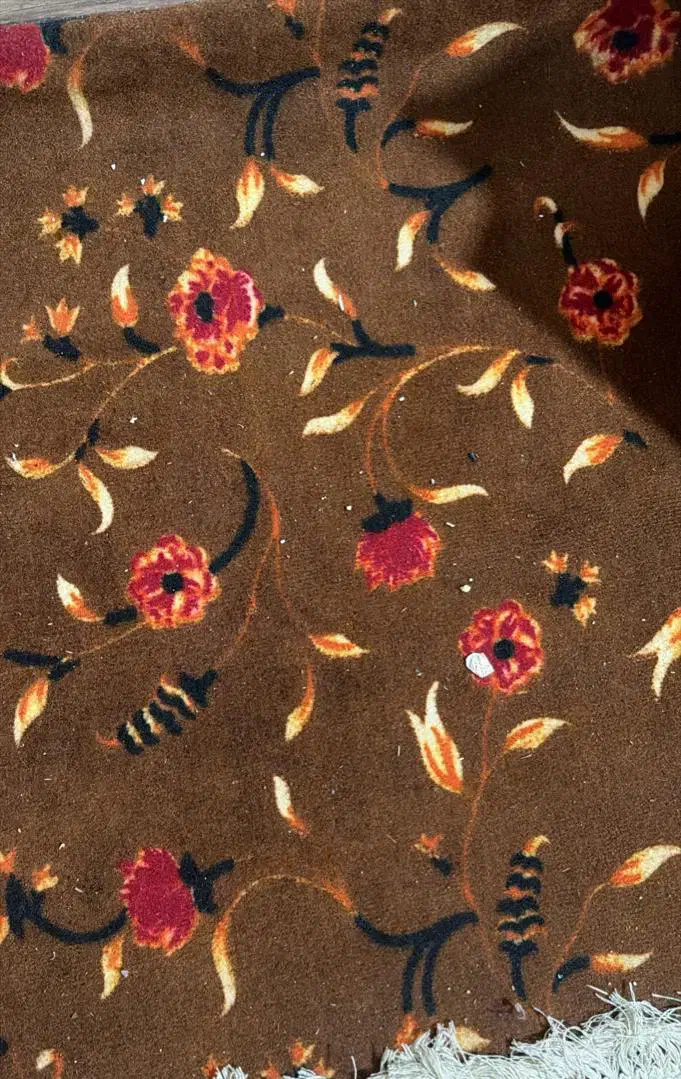 موکت|موکت|خان ببین, |دیوار