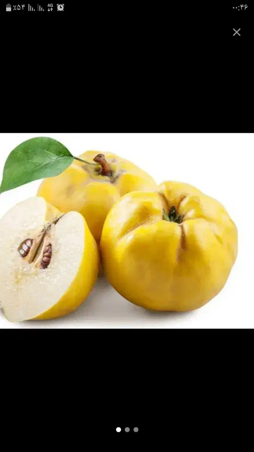 میوه ارگانیک..میوه  به  شهرستان  اراک|خوردنی و آشامیدنی|تهران, شهرک شهید باقری|دیوار