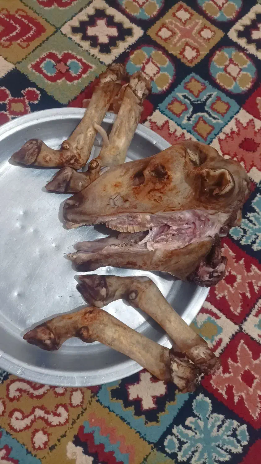 کله پاچه و سیرابی|لوازم جانبی حیوانات|خرم‌آباد, |دیوار