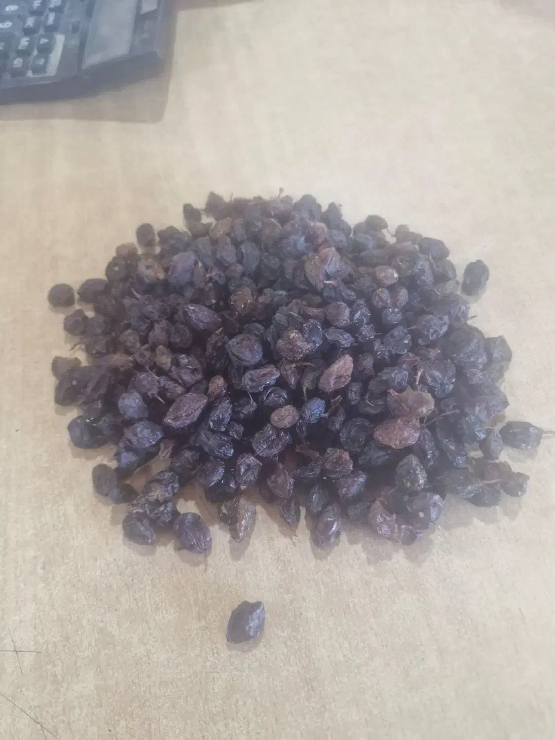 فروش کشمش بصورت کلی وجزی|عمده‌فروشی|سیرجان, |دیوار