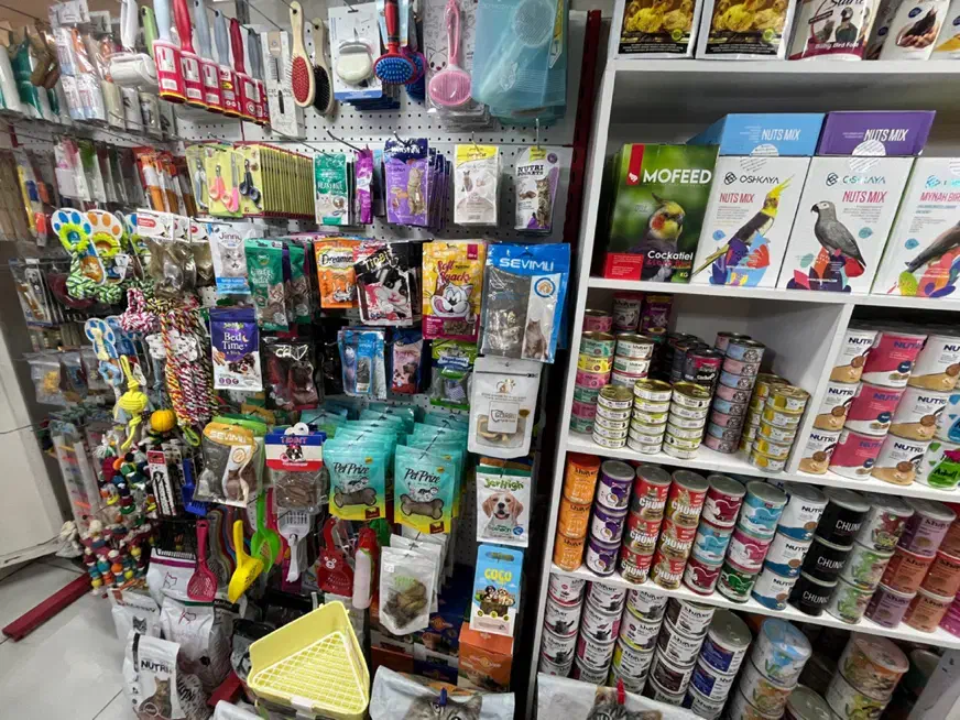 تشویقی پوچ بستنی|لوازم جانبی حیوانات|مشهد, گلبرگ|دیوار