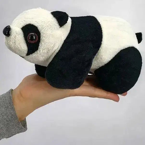 عروسک خرس پاندا|اسباب‌بازی بچه|فسا, |دیوار