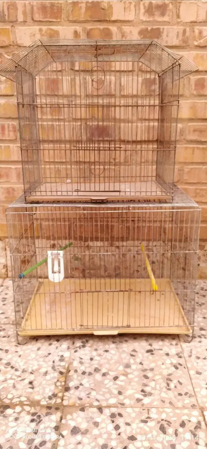 تابلوهای زیبای تزیینی ،پنکه سقفی،قفس|پنکه و تصفیهکنندهٔ هوا|دزفول, |دیوار