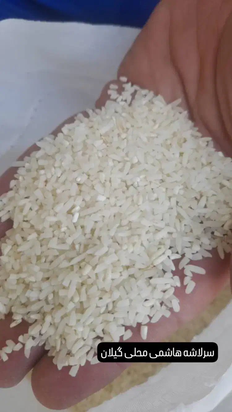 سرلاشه درجه یک هاشمی محلی گیلان|خوردنی و آشامیدنی|قرچک, زیبا شهر|دیوار