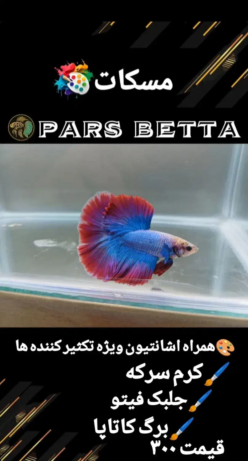 ماهی فایتر و لوازم تکثیر|ماهی|فردیس, شهرک راه آهن|دیوار