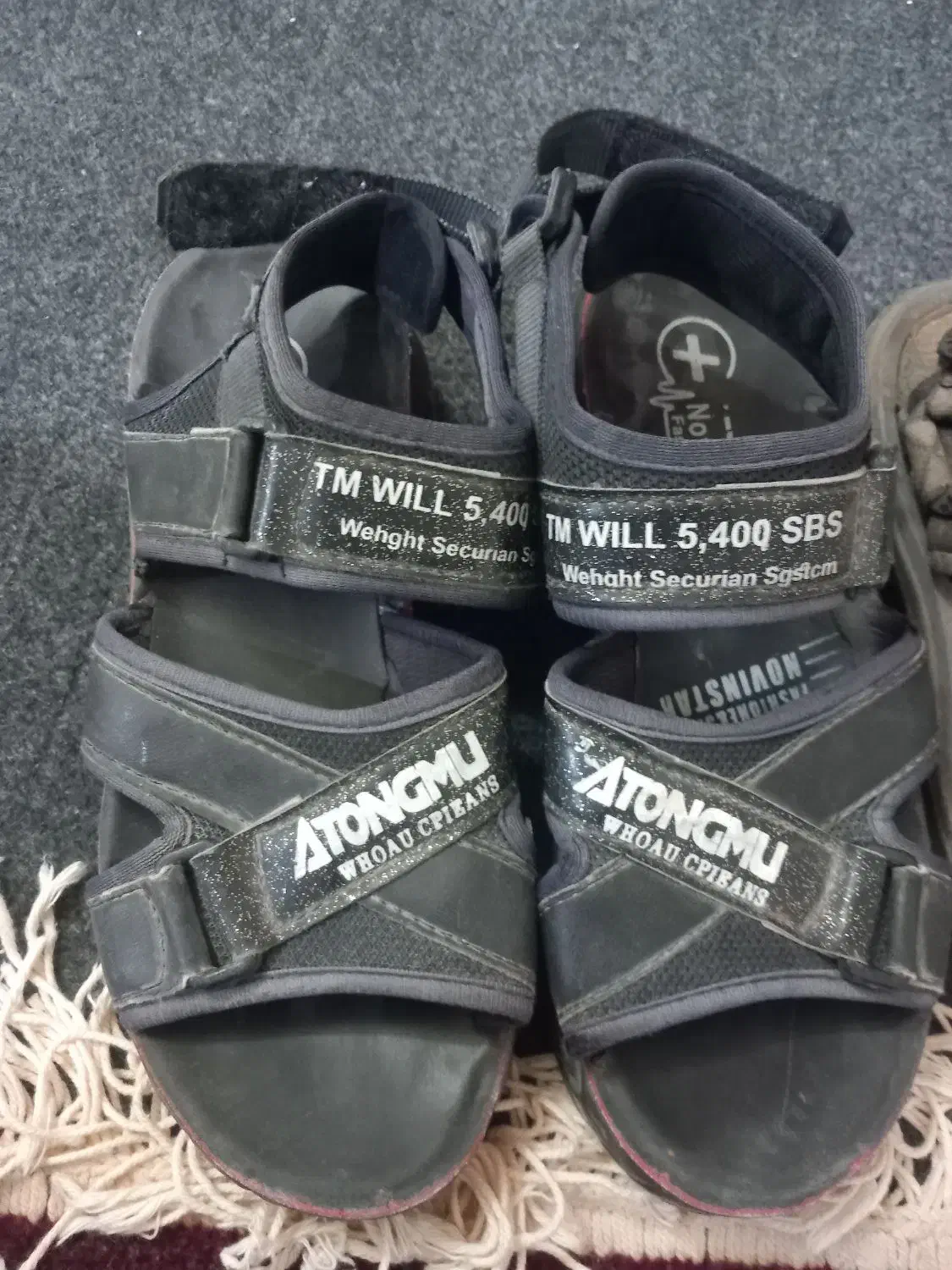 کفش وکیف|کیف، کفش، کمربند|بیرجند, |دیوار