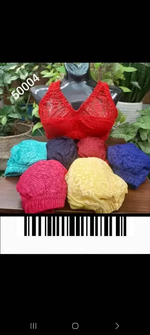 پخش لباس زیر|لباس|سنندج, |دیوار