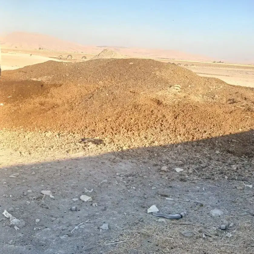 کود حیوانی|گل و گیاه طبیعی|ماهیدشت, |دیوار